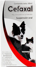 Cefaxal suspension oral 60ml