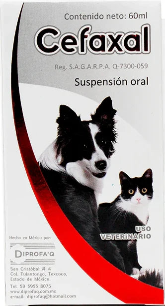 Cefaxal suspension oral 60ml