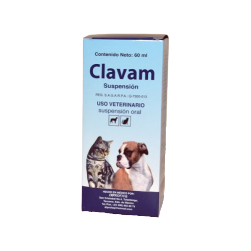 Clavam suspension 60ml