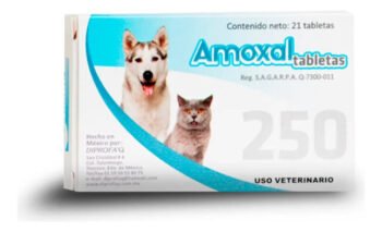 Amoxal tabletas 250 mg