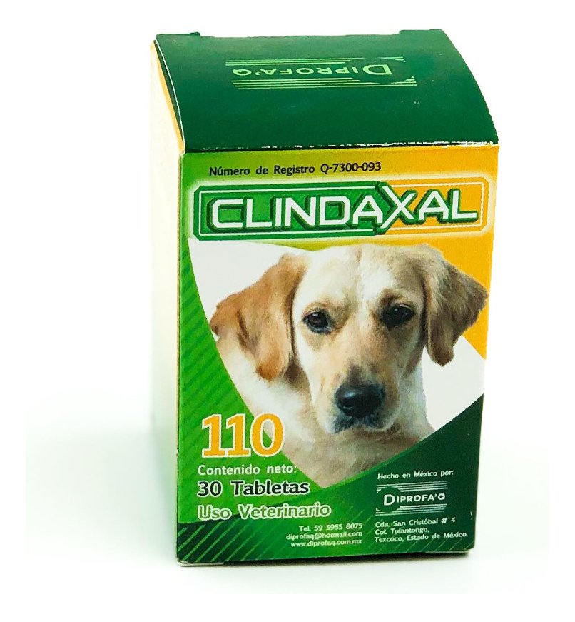 Clindaxal 110mg