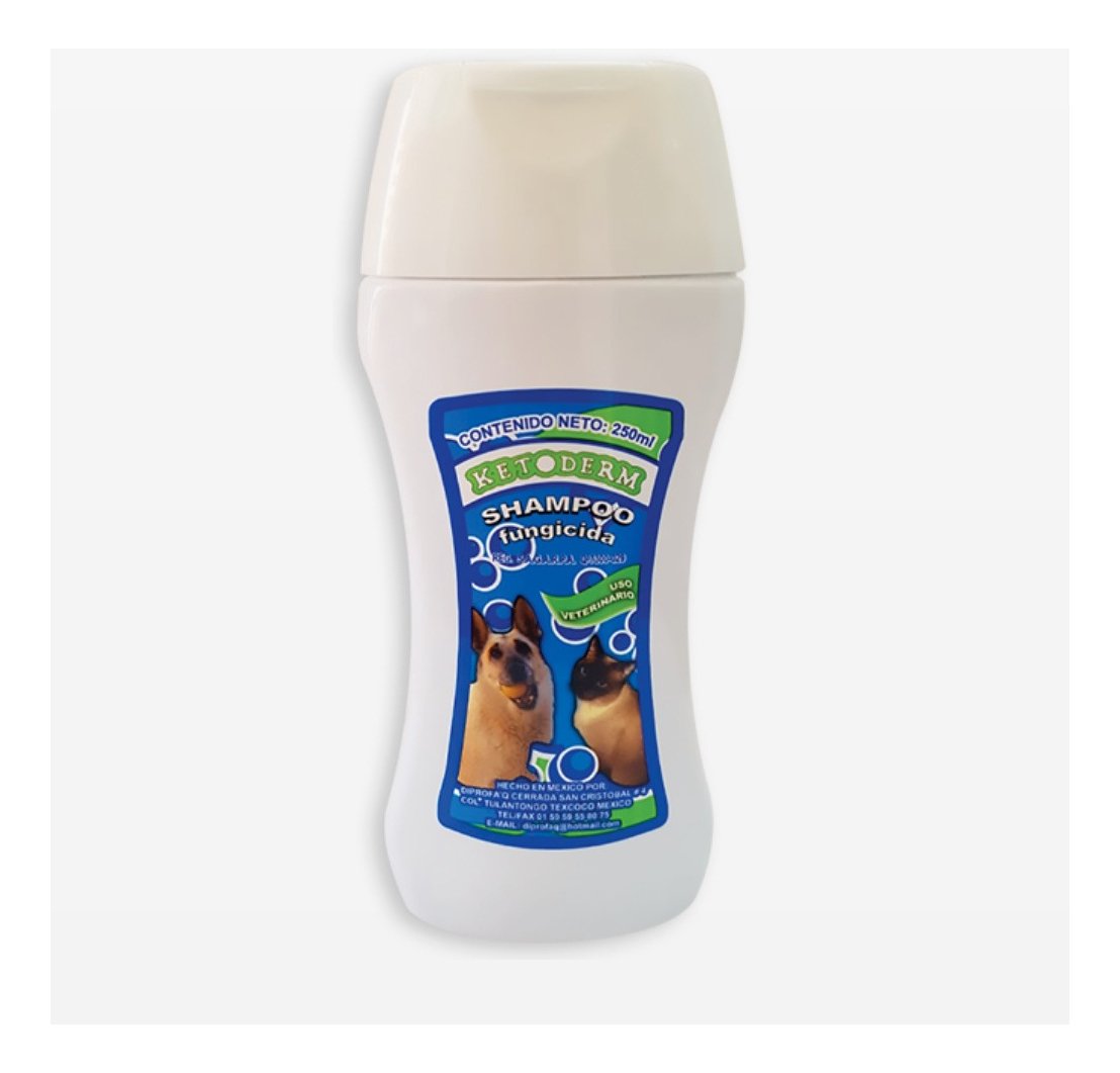 Ketoderm shampoo 250ml
