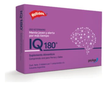 IQ 180 Holliday