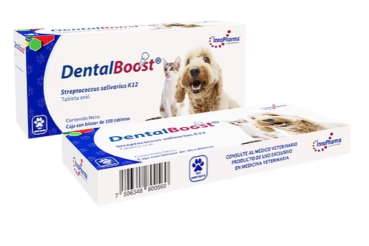 Dental Boost 100 Tabletas