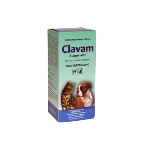 Clavam suspension 20ml