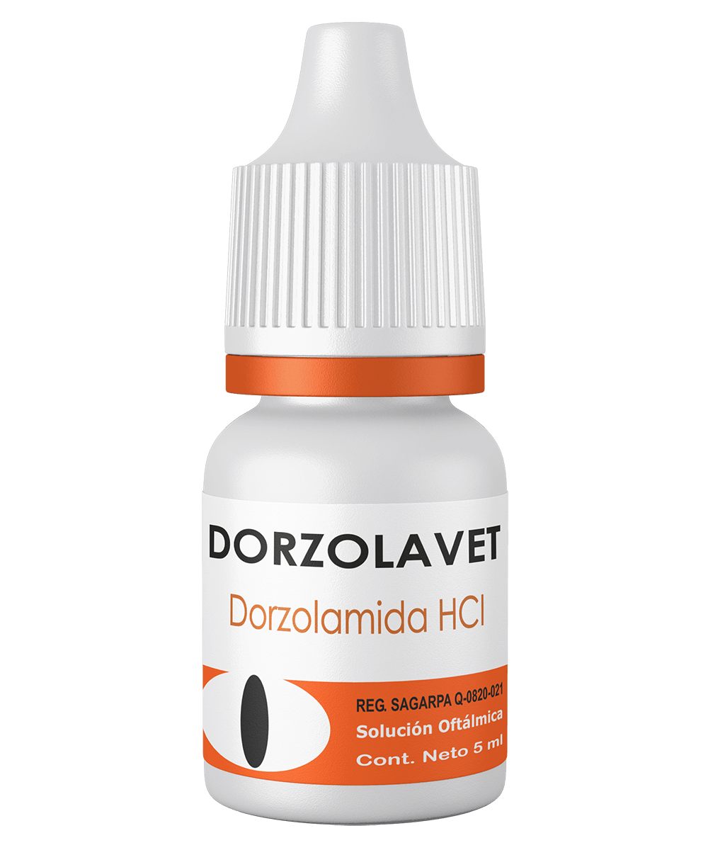 Dorzolavet