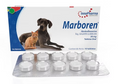 Marboren 10 Tabletas