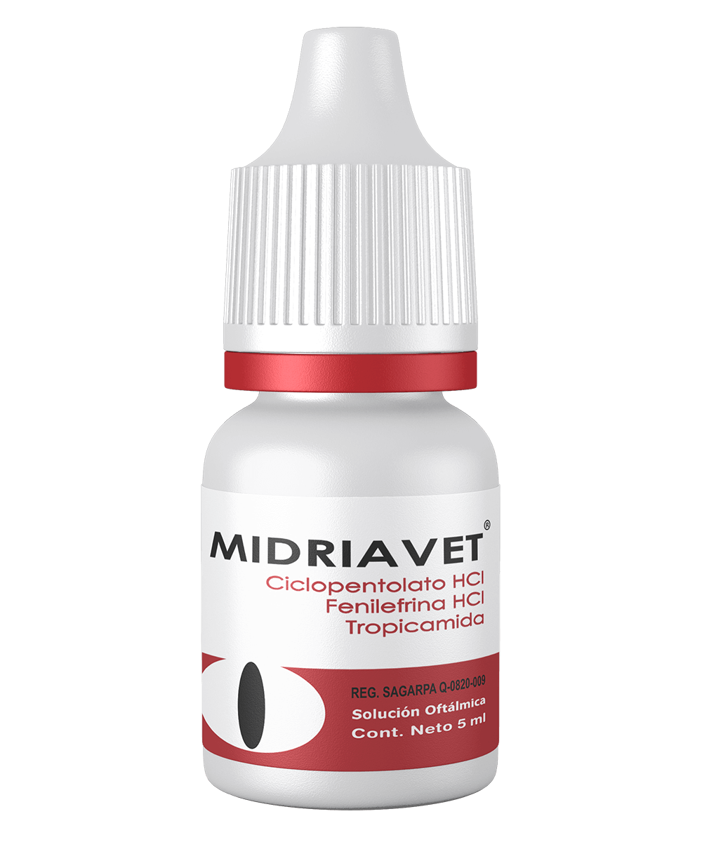 Midriavet