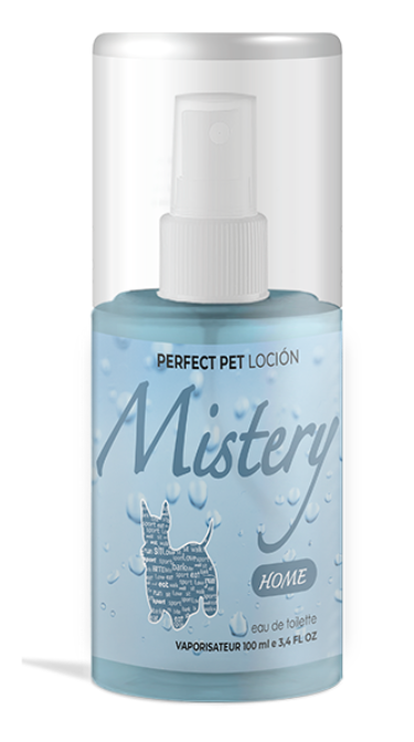 Mistery Home 100 ml