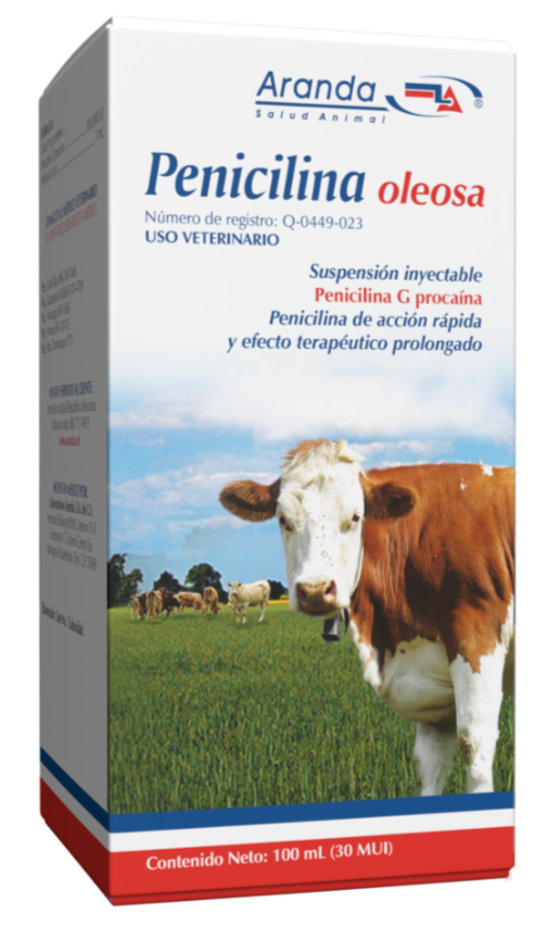 Penicilina Oleosa 100 ml