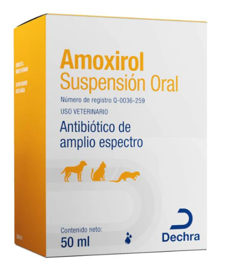 AMOXIROL SUSPENSIÓN ORAL 50 ml DECHRA