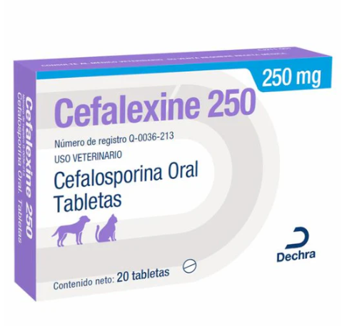 CEFALEXINE CAJA 250 mg DECHRA