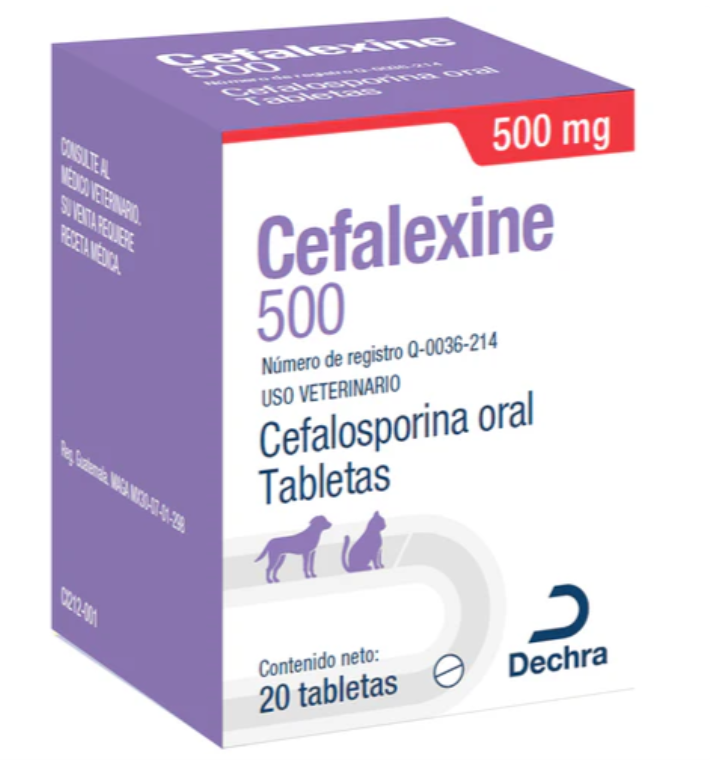 CEFALEXINE CAJA 500 mg DECHRA