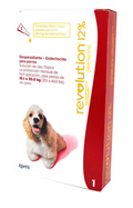 Revolution Rojo 10.1  a 20 kg 1/P