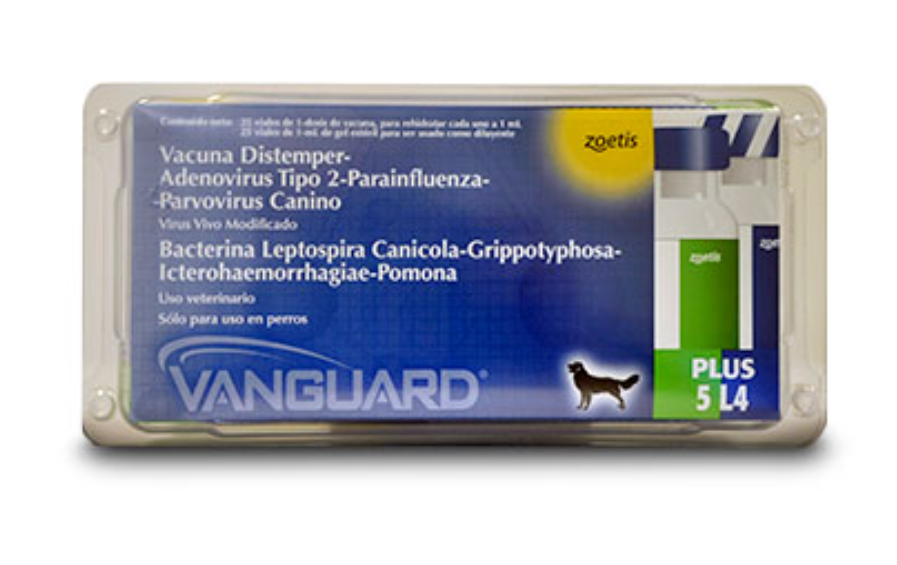 Vanguard Plus 5/L4