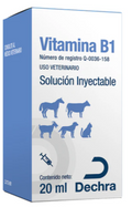 Vitamina B1 20ml