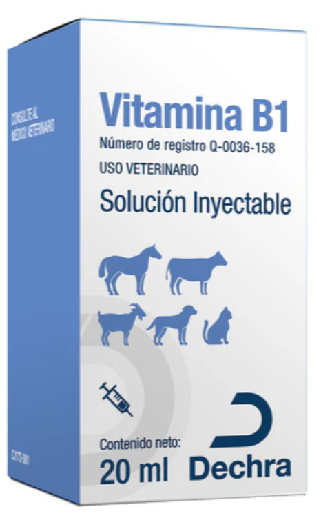 Vitamina B1 20ml