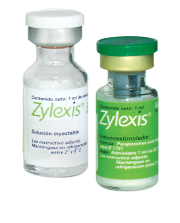 Zylexis